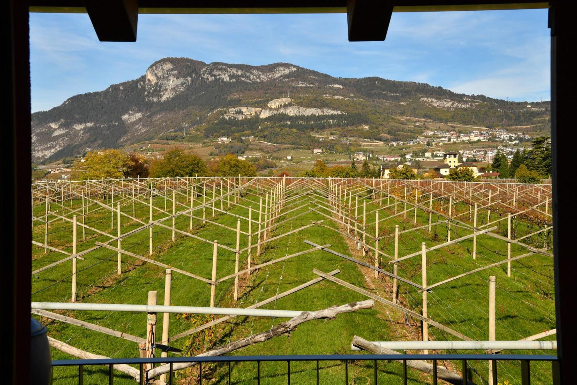 Villa 8 Grappoli Agritur Trento Exterior foto